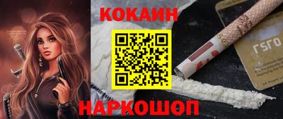 индика Гусев