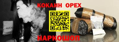 индика Гусев