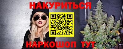 индика Гусев