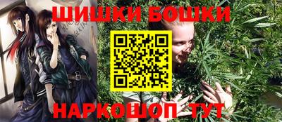 индика Гусев