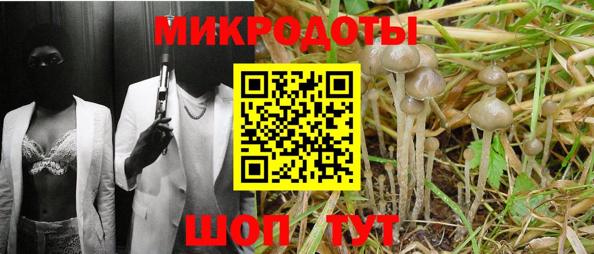 Псилоцибиновые грибы мухоморы Минусинск